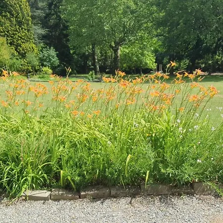 Chateau De Alojamento de Acomodação e Pequeno-almoço