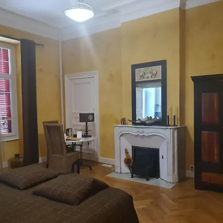 Bed & Breakfast Chateau De Viviez